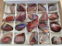 Polished On One Side Red Sashe River Agate Nodules x 20 From Zimbabwe