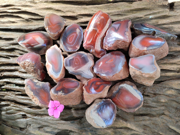 Polished On One Side Red Sashe River Agate Nodules x 20 From Zimbabwe