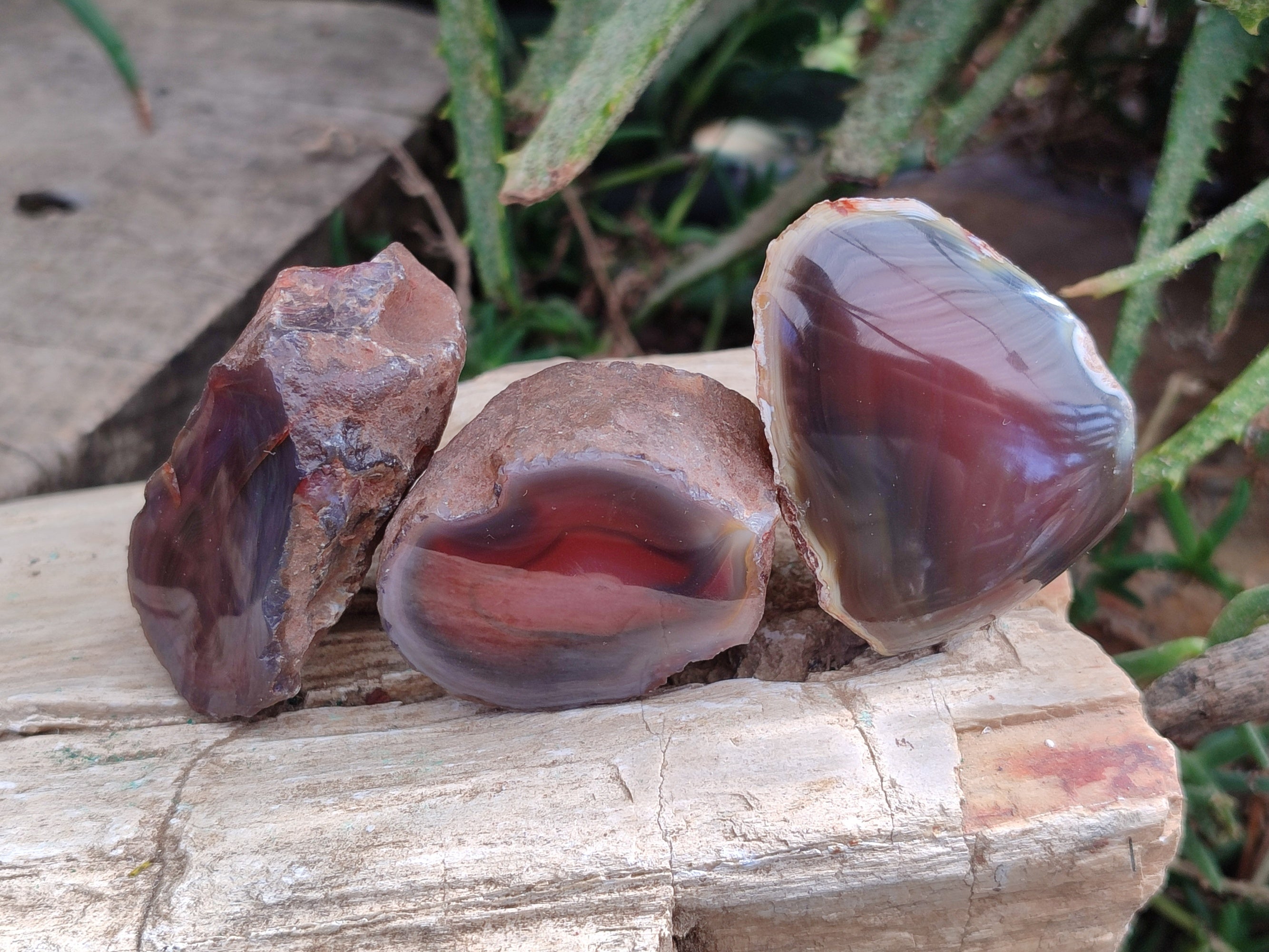 Polished On One Side Red Sashe River Agate Nodules x 20 From Zimbabwe - Toprock Gemstones and Minerals 
