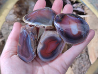 Polished On One Side Red Sashe River Agate Nodules x 20 From Zimbabwe