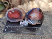 Polished On One Side Red Sashe River Agate Nodules x 20 From Zimbabwe