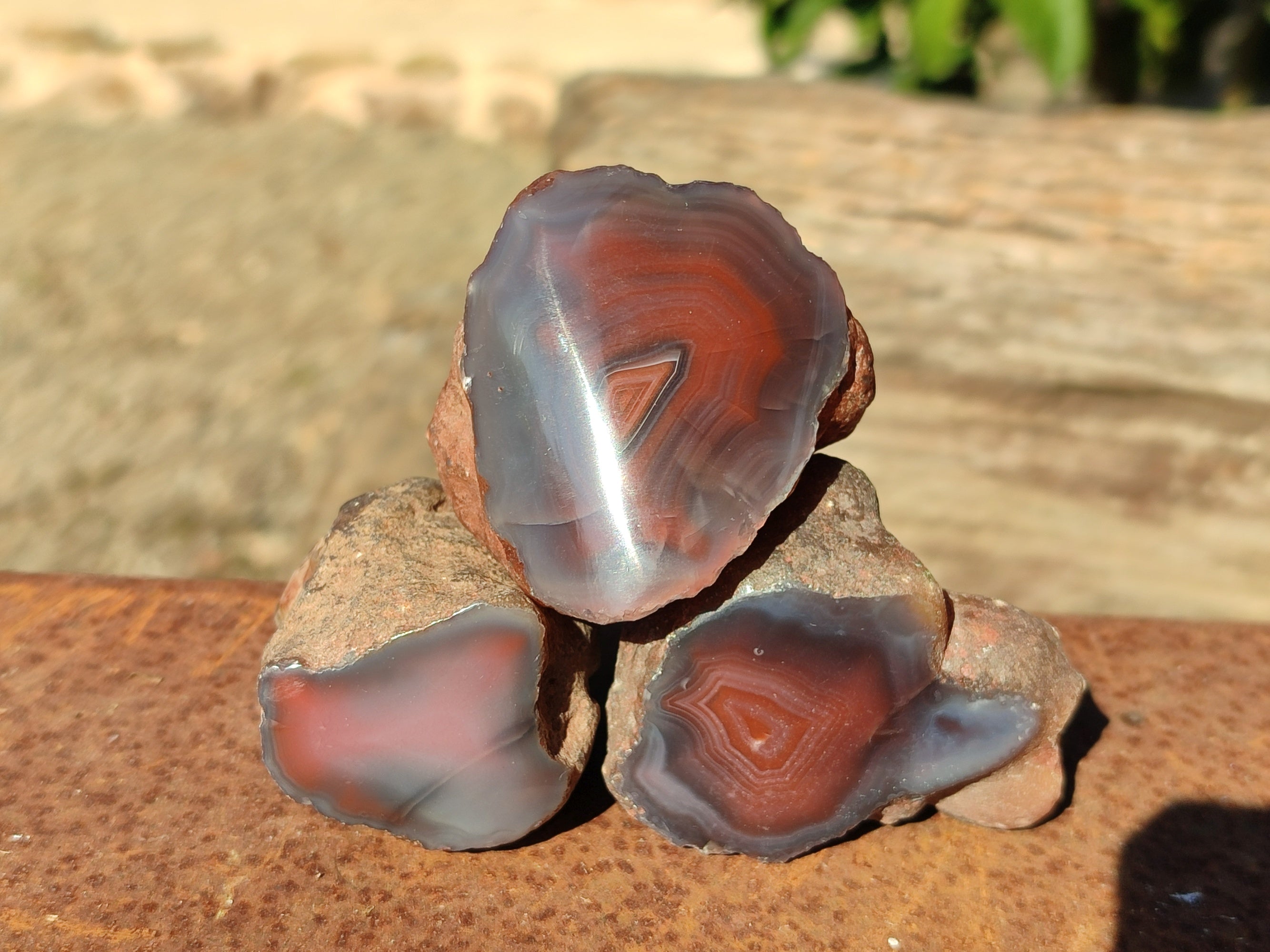 Polished On One Side Red Sashe River Agate Nodules x 20 From Zimbabwe - Toprock Gemstones and Minerals 