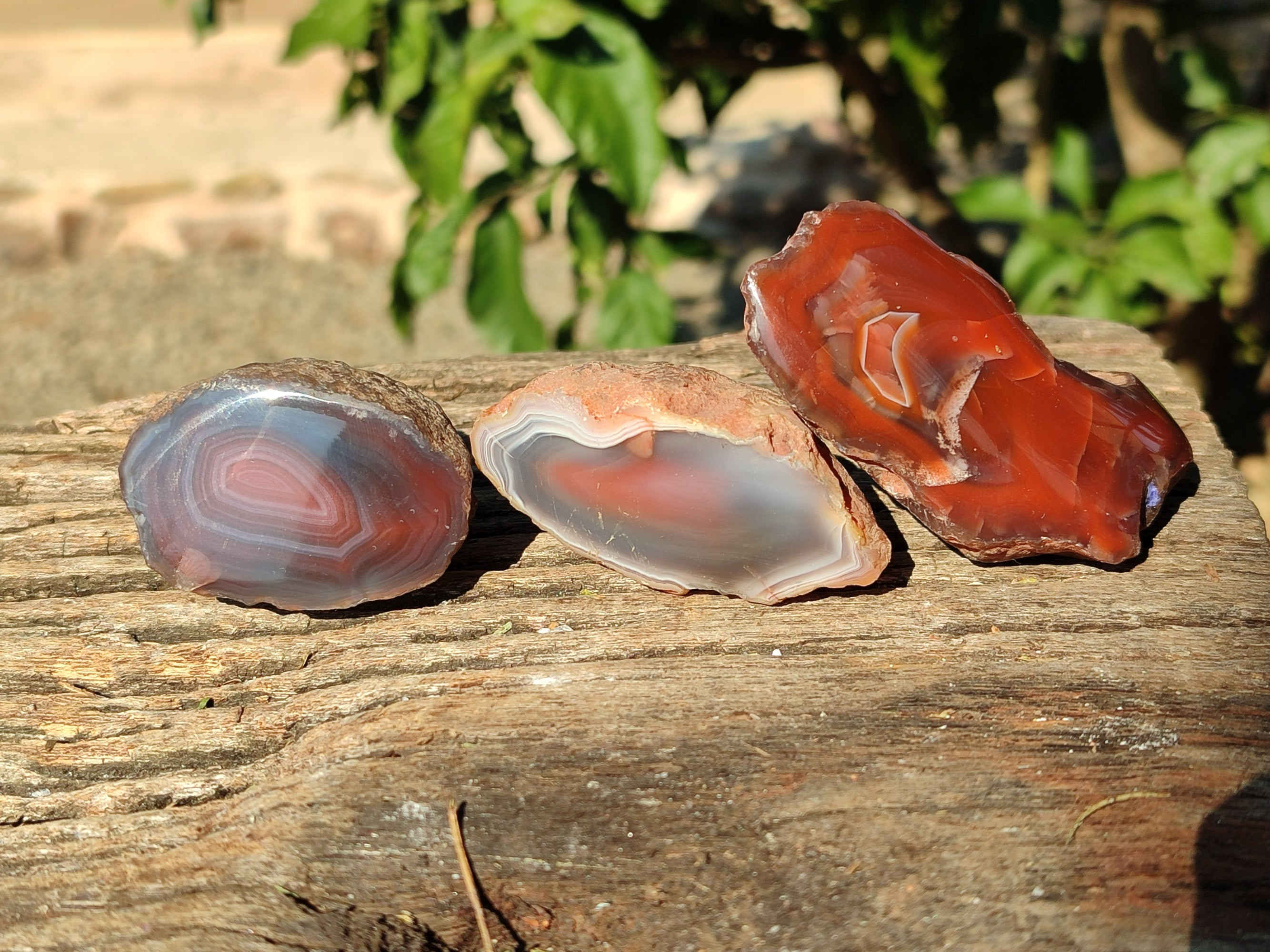 Polished On One Side Red Sashe River Agate Nodules x 20 From Zimbabwe - Toprock Gemstones and Minerals 