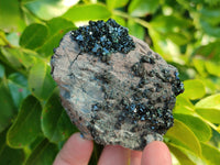 Natural Libethenite Crystals and Malachite On Dolomite Matrix Specimens x 6 From Shituru, Congo