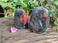 Polished Bloodstone Standing Free Forms x 2 From Swaziland