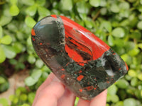 Polished Bloodstone Standing Free Forms x 2 From Swaziland