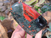 Polished Bloodstone Standing Free Forms x 2 From Swaziland