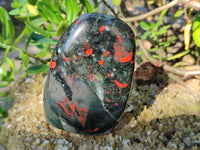 Polished Bloodstone Standing Free Forms x 2 From Swaziland
