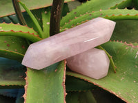 Polished Double Terminated Rose Quartz Points x 6 Ambatondrazaka, Madagascar