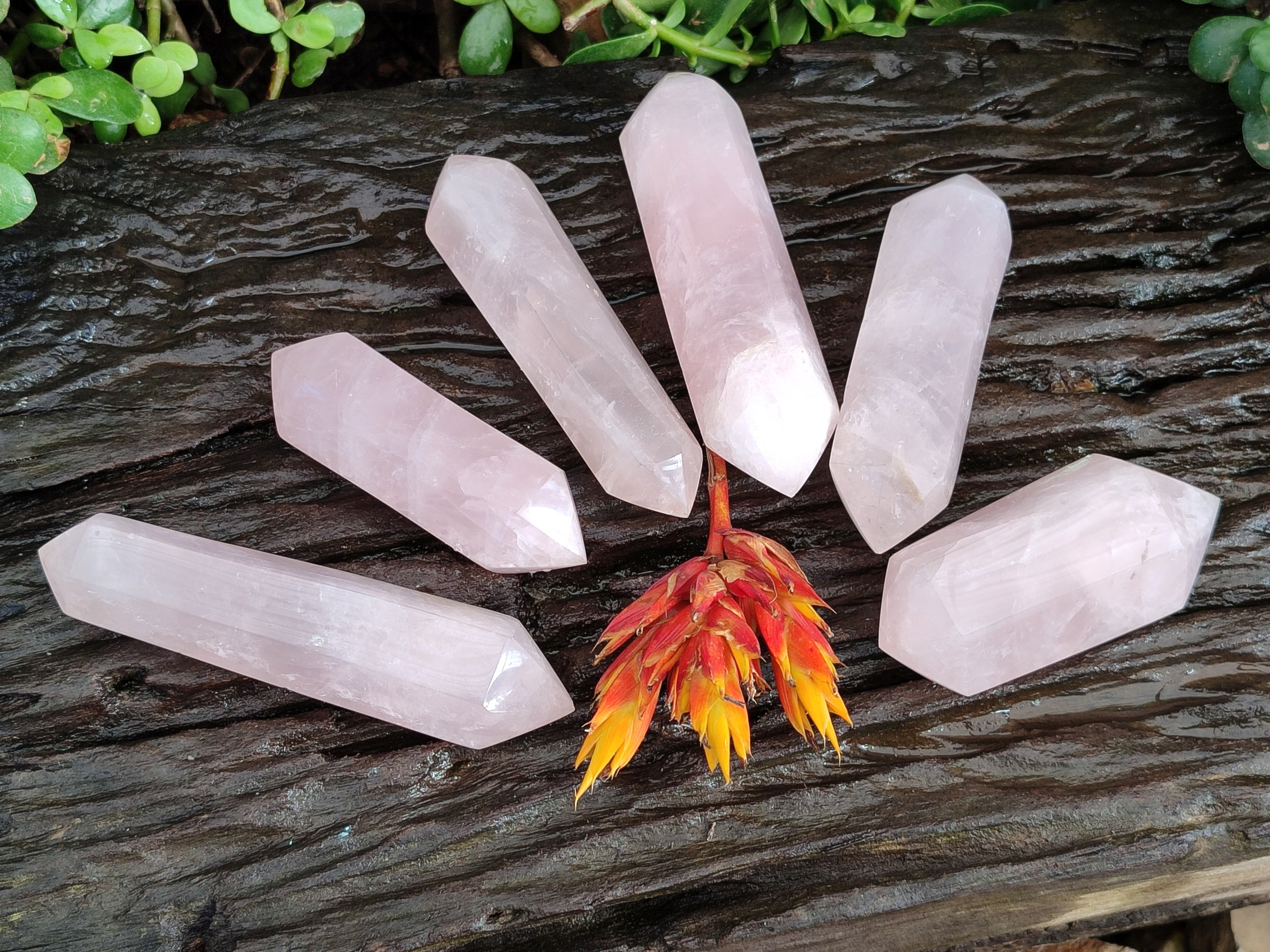 Polished Double Terminated Rose Quartz Points x 6 Ambatondrazaka, Madagascar - Toprock Gemstones and Minerals 