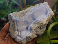 Natural Blue Lace Agate Geode Specimens x 4 From Nsanje, Malawi - Toprock Gemstones and Minerals 