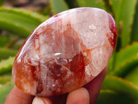Polished Red Hematoid Quartz Palm Stones x 12 From Madagascar - Toprock Gemstones and Minerals 