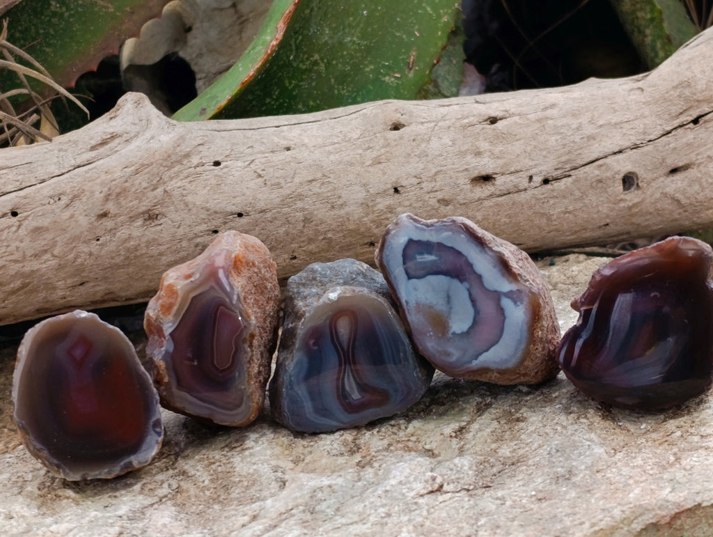 Polished On One Side Red Sashe River Agate Nodules x 24 From Zimbabwe - Toprock Gemstones and Minerals 