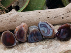 Polished On One Side Red Sashe River Agate Nodules x 24 From Zimbabwe - Toprock Gemstones and Minerals 