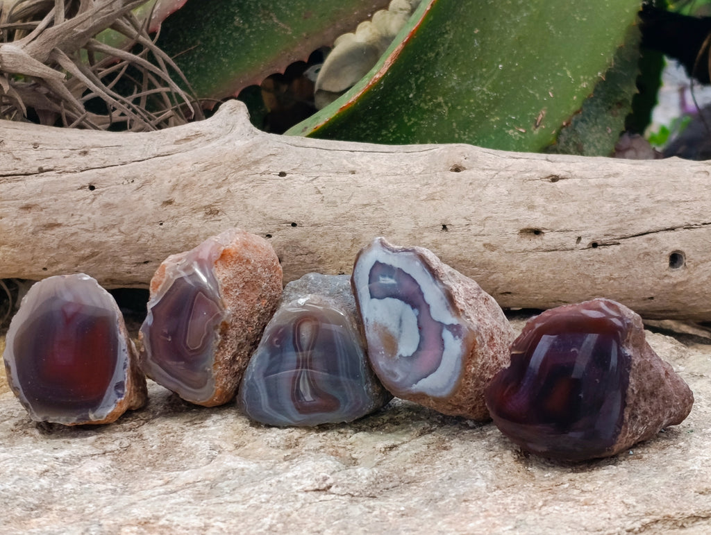 Polished On One Side Red Sashe River Agate Nodules x 24 From Zimbabwe - Toprock Gemstones and Minerals 