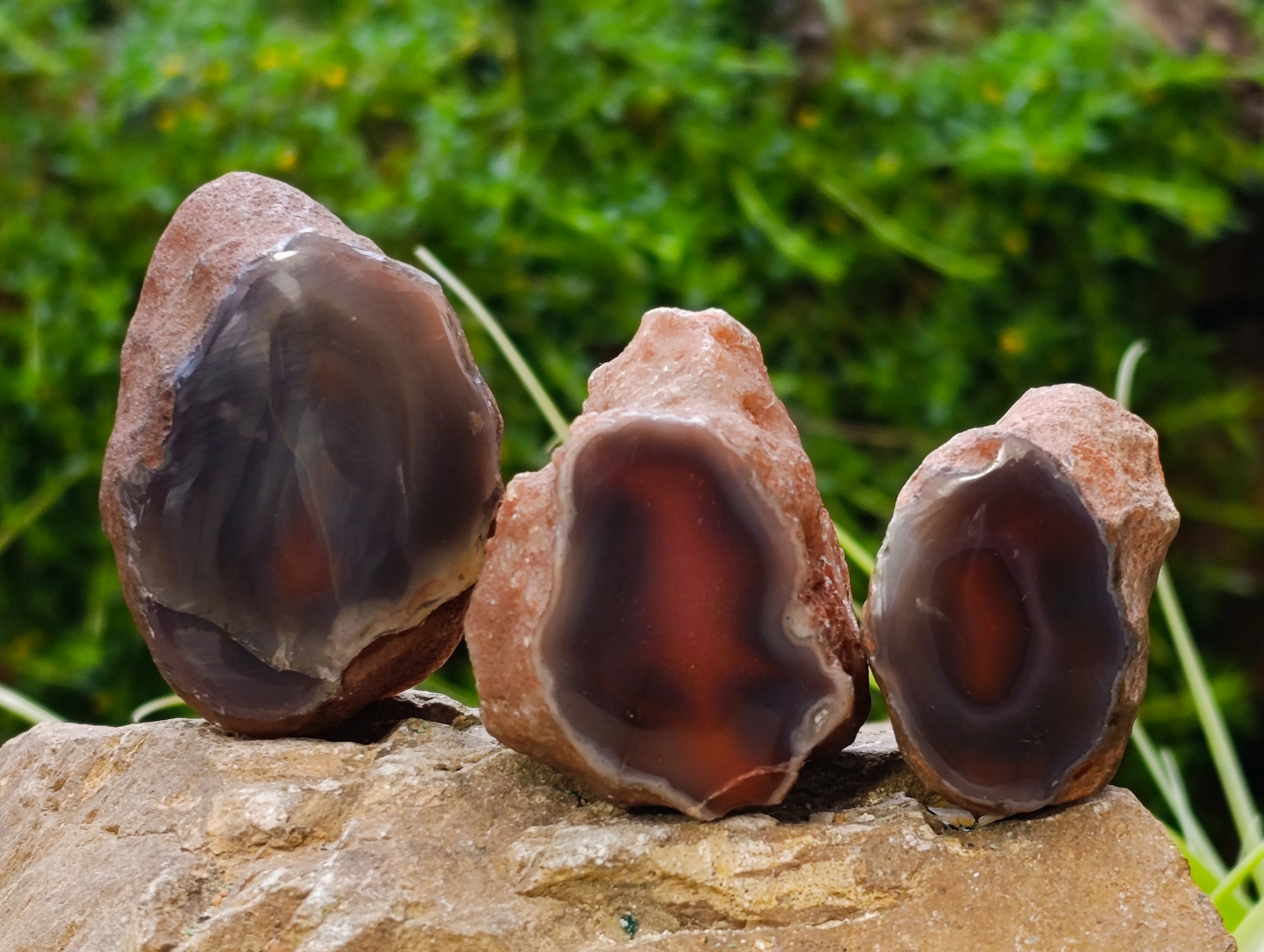 Polished On One Side Red Sashe River Agate Nodules x 24 From Zimbabwe - Toprock Gemstones and Minerals 