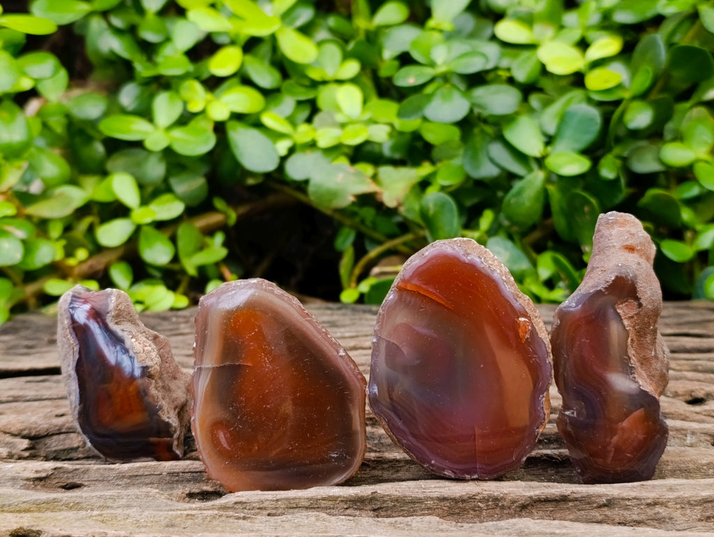 Polished On One Side Red Sashe River Agate Nodules x 24 From Zimbabwe - Toprock Gemstones and Minerals 