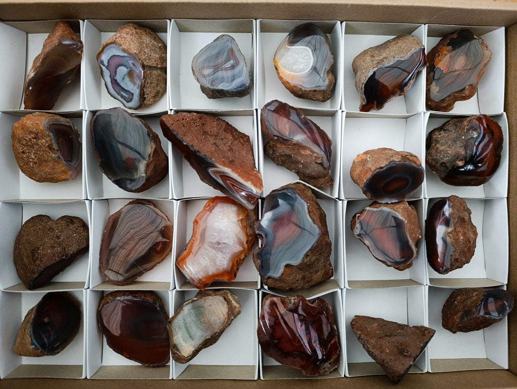 Polished On One Side Red Sashe River Agate Nodules x 24 From Zimbabwe - Toprock Gemstones and Minerals 