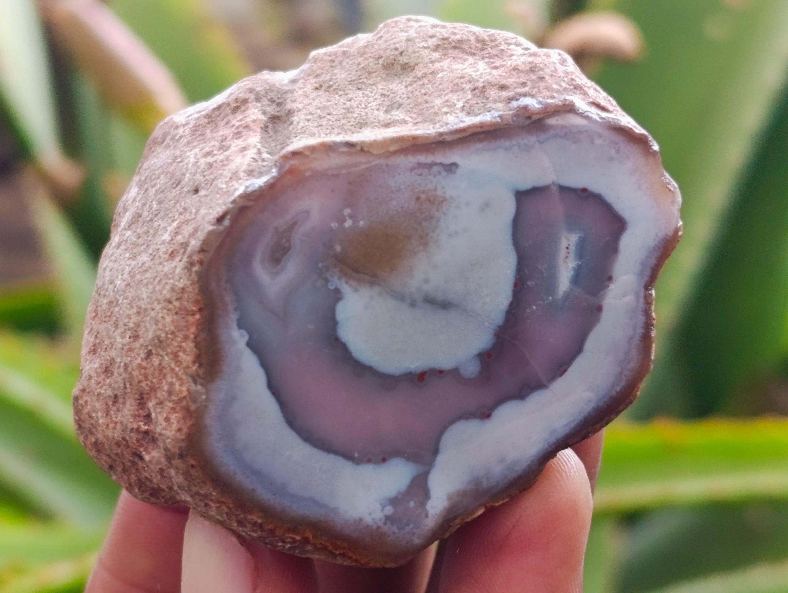 Polished On One Side Red Sashe River Agate Nodules x 24 From Zimbabwe - Toprock Gemstones and Minerals 