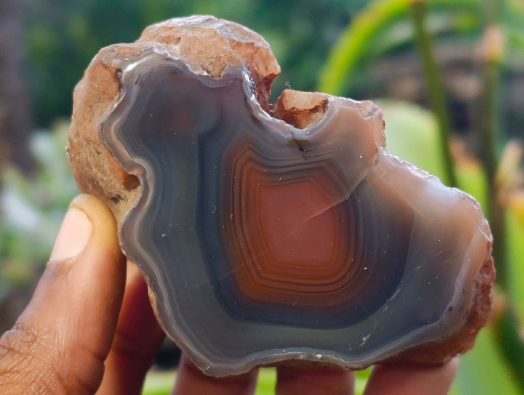 Polished On One Side Red Sashe River Agate Nodules x 24 From Zimbabwe - Toprock Gemstones and Minerals 