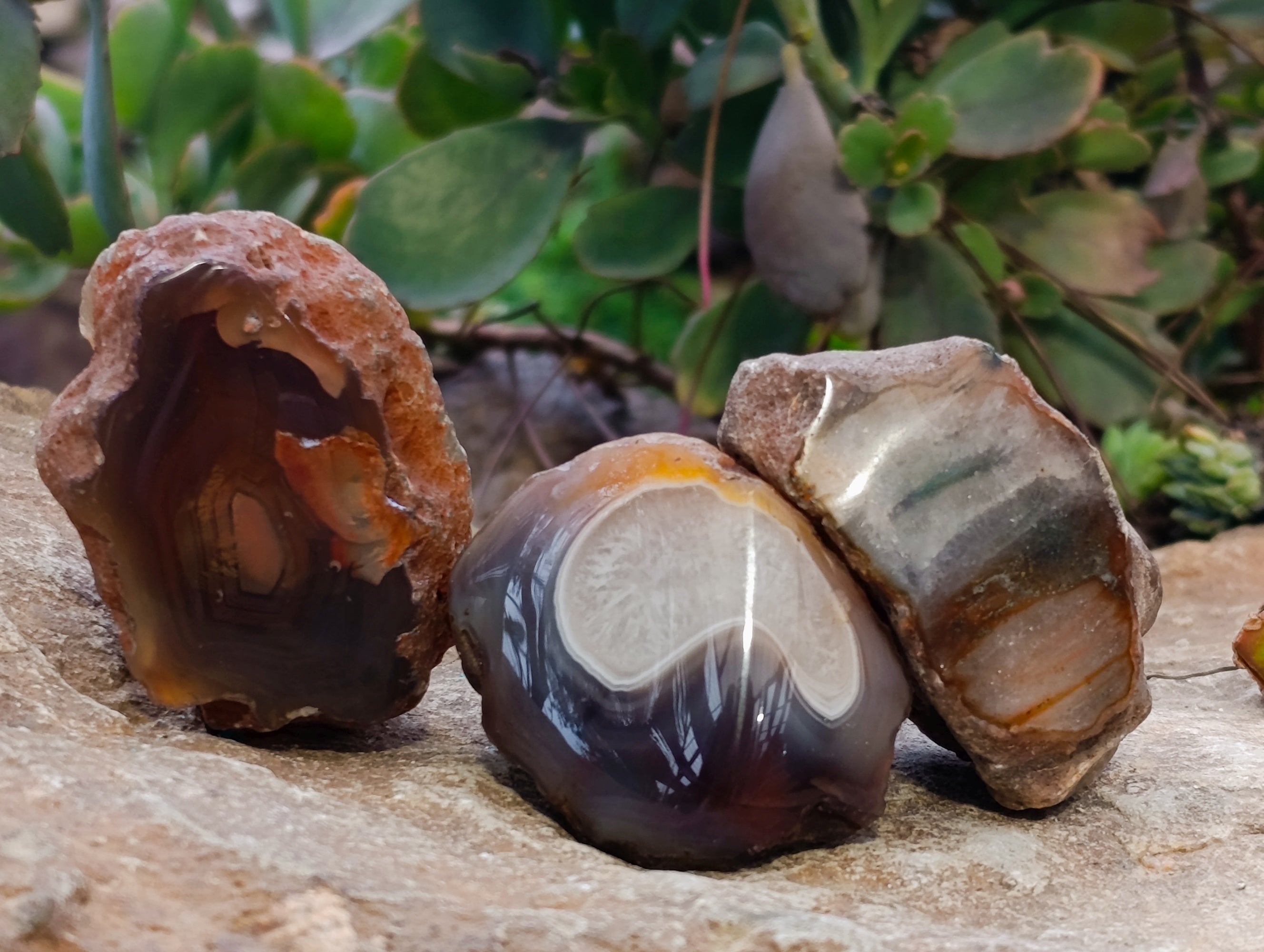 Polished On One Side Red Sashe River Agate Nodules x 24 From Zimbabwe - Toprock Gemstones and Minerals 