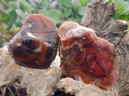 Polished On One Side Red Sashe River Agate Nodules x 24 From Zimbabwe - Toprock Gemstones and Minerals 