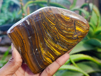 Polished Golden River Tigers Eye Standing Free Forms x 2 From Prieska, South Africa