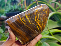 Polished Golden River Tigers Eye Standing Free Forms x 2 From Prieska, South Africa