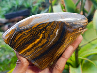 Polished Golden River Tigers Eye Standing Free Forms x 2 From Prieska, South Africa