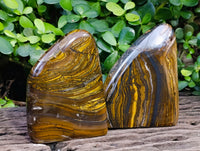 Polished Golden River Tigers Eye Standing Free Forms x 2 From Prieska, South Africa