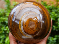 Polished XL Golden River Tigers Eye Sphere x 1 From Prieska, South Africa