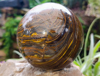 Polished XL Golden River Tigers Eye Sphere x 1 From Prieska, South Africa