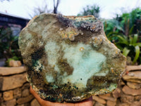 Natural XL Drusy Coated Chrysocolla on Dolomite with Ball Malachite Specimen x 1 From Congo - Toprock Gemstones and Minerals 