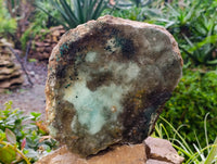 Natural XL Drusy Coated Chrysocolla on Dolomite with Ball Malachite Specimen x 1 From Congo - Toprock Gemstones and Minerals 