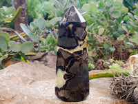 Polished Fossilized Septerye Point x 1 From Mahajanga, Madagascar - Toprock Gemstones and Minerals 