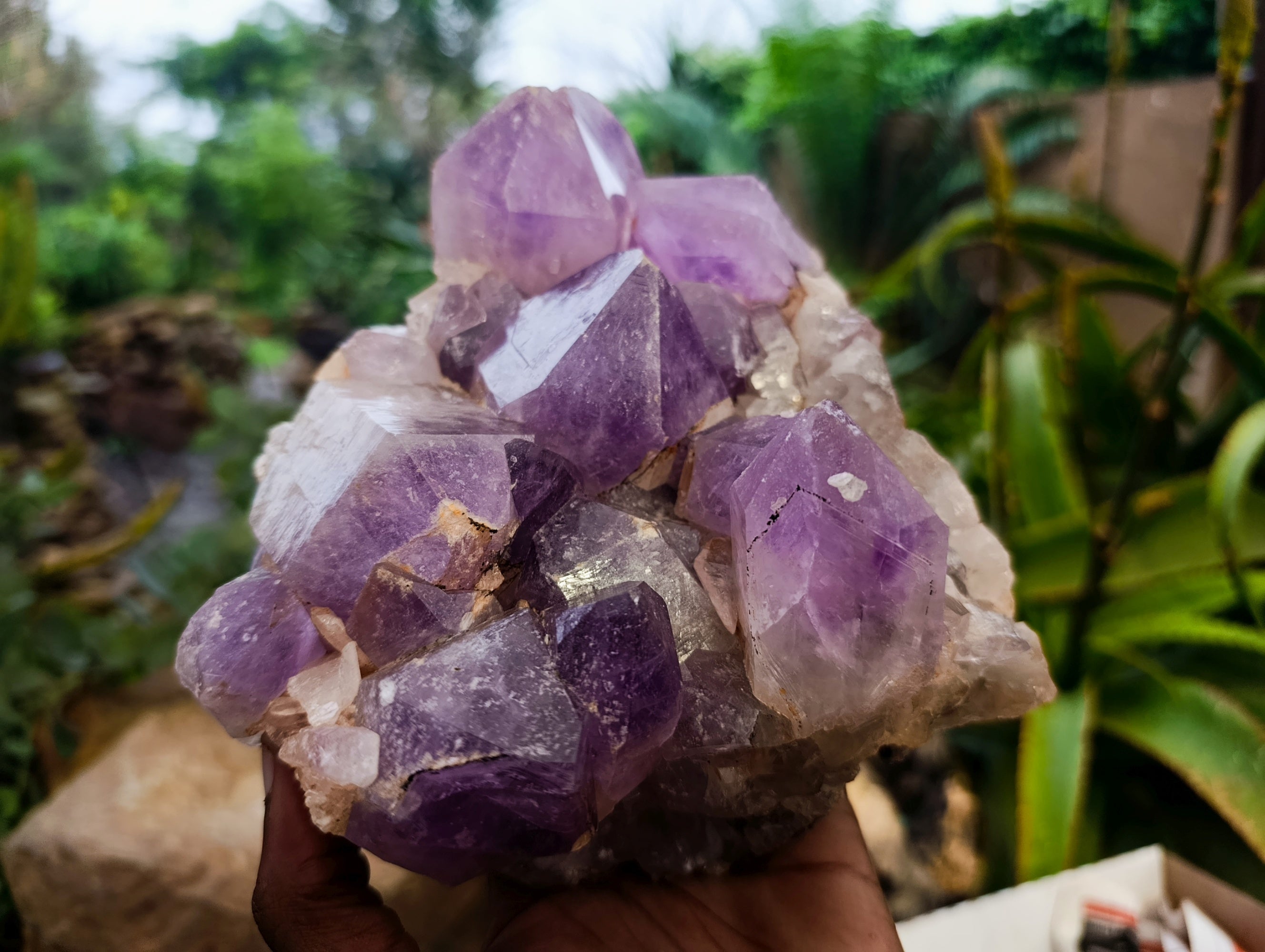 Natural Jacaranda Amethyst Quartz Cluster x 1 From Mumbwa, Zambia - Toprock Gemstones and Minerals 