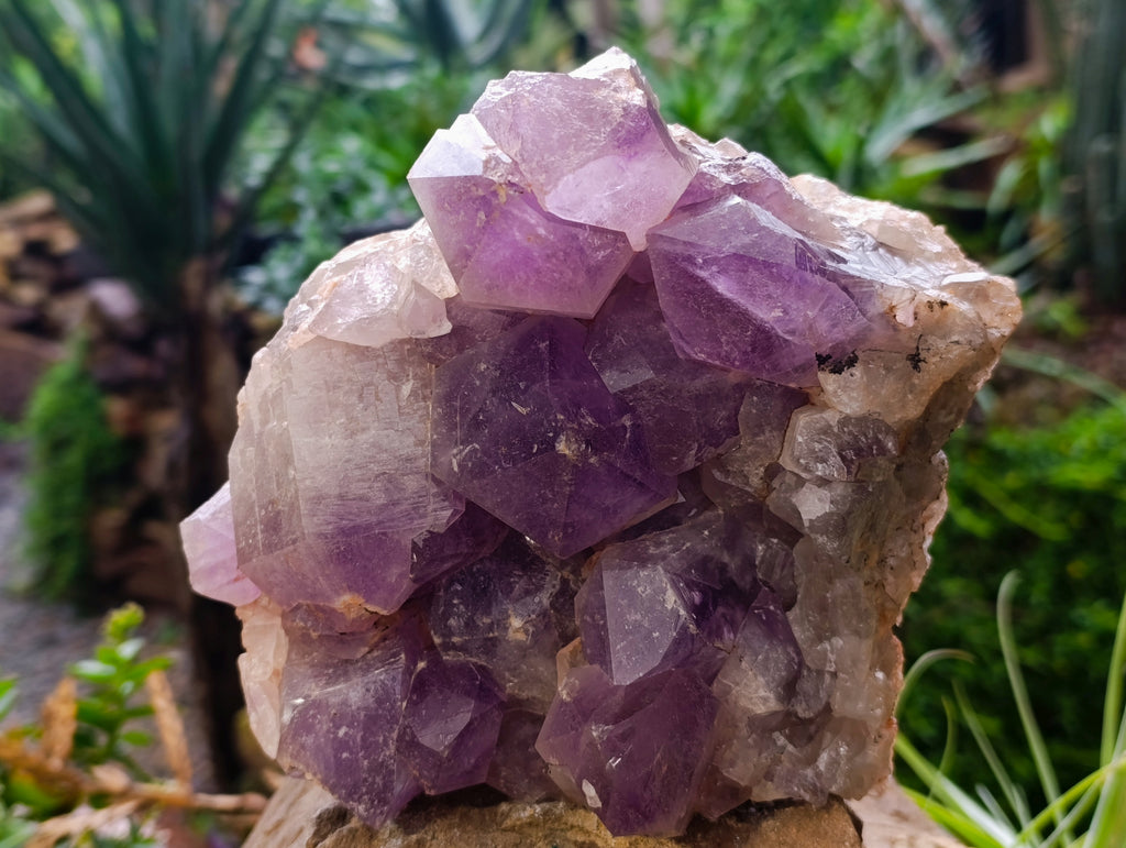 Natural Jacaranda Amethyst Quartz Cluster x 1 From Mumbwa, Zambia - Toprock Gemstones and Minerals 