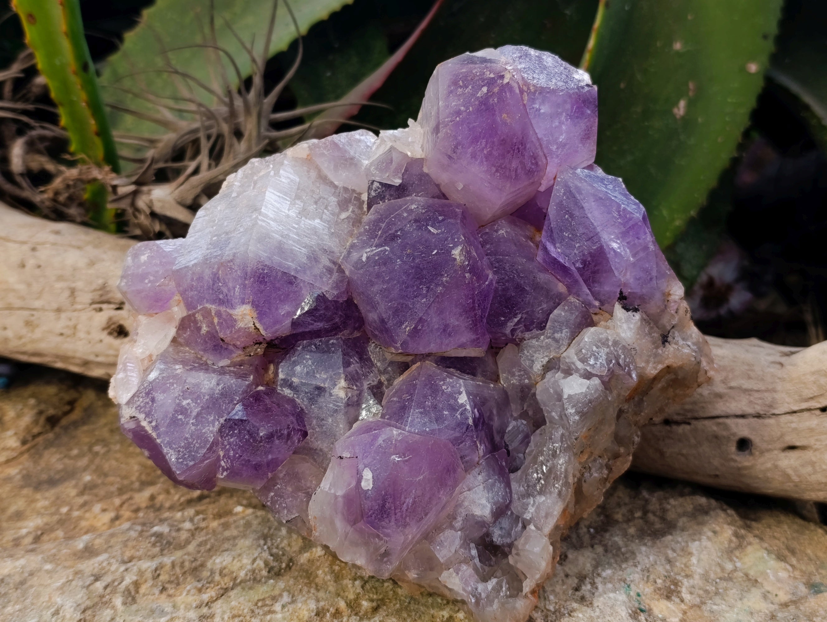 Natural Jacaranda Amethyst Quartz Cluster x 1 From Mumbwa, Zambia - Toprock Gemstones and Minerals 