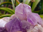 Natural Jacaranda Amethyst Quartz Cluster x 1 From Mumbwa, Zambia - Toprock Gemstones and Minerals 