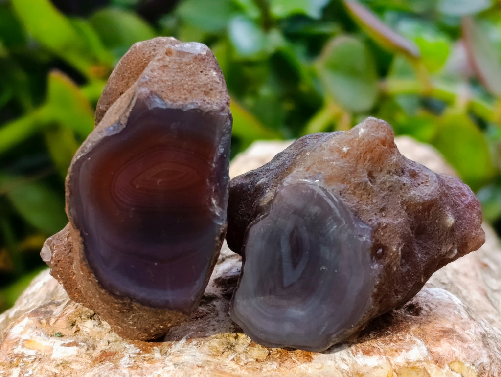 Polished On One Side Red Sashe River Agate Nodules x 24 From Zimbabwe - Toprock Gemstones and Minerals 