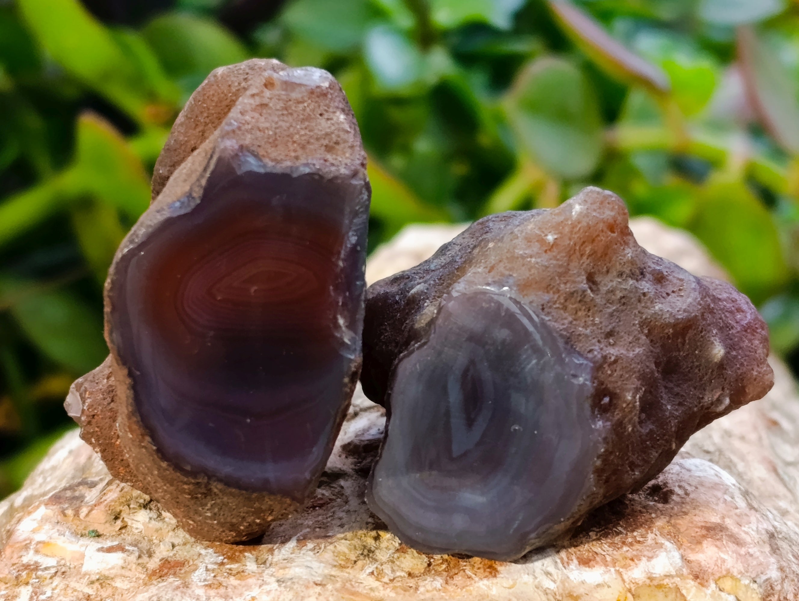 Polished On One Side Red Sashe River Agate Nodules x 24 From Zimbabwe - Toprock Gemstones and Minerals 