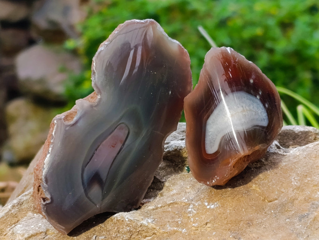 Polished On One Side Red Sashe River Agate Nodules x 24 From Zimbabwe - Toprock Gemstones and Minerals 