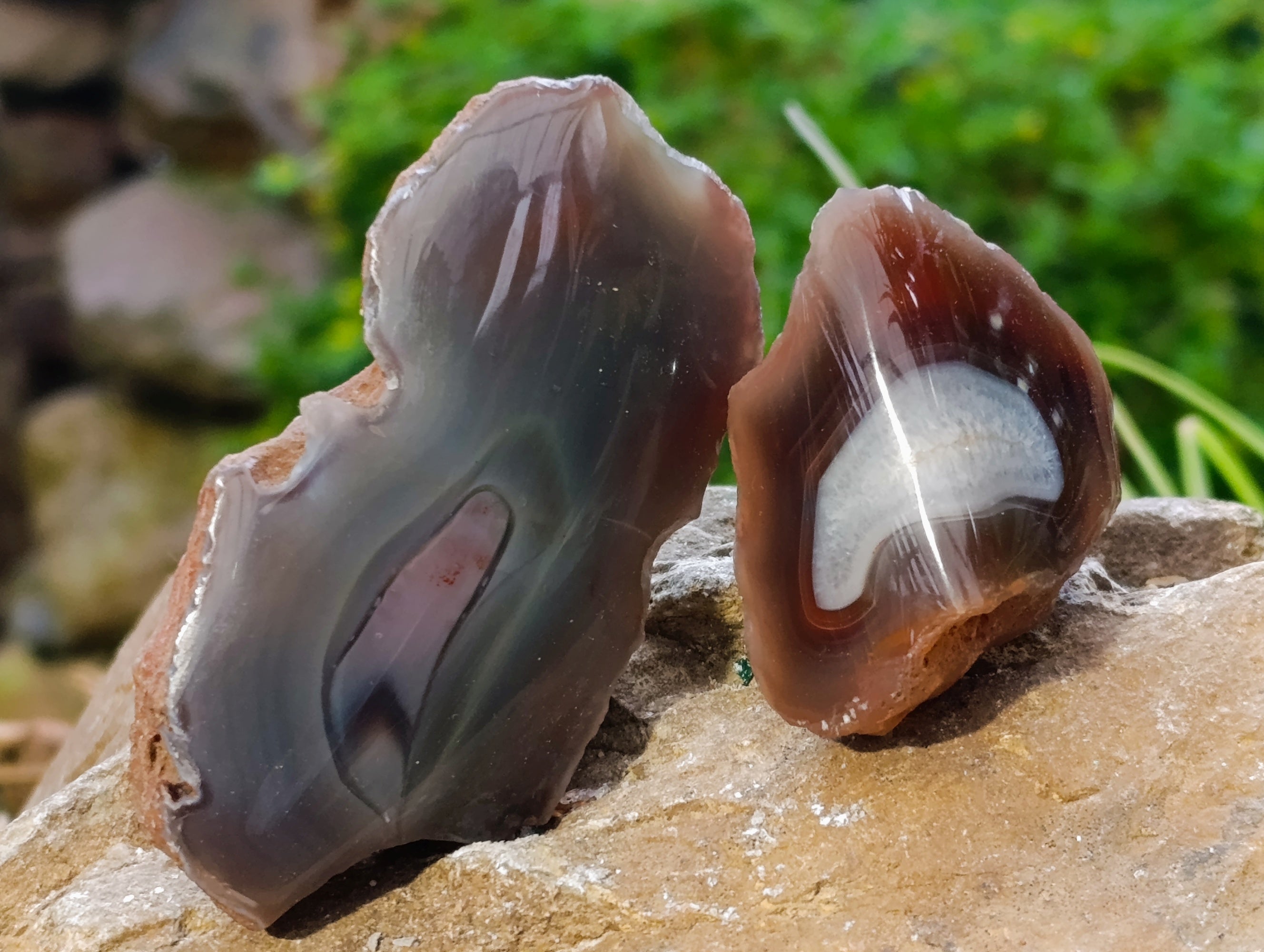 Polished On One Side Red Sashe River Agate Nodules x 24 From Zimbabwe - Toprock Gemstones and Minerals 