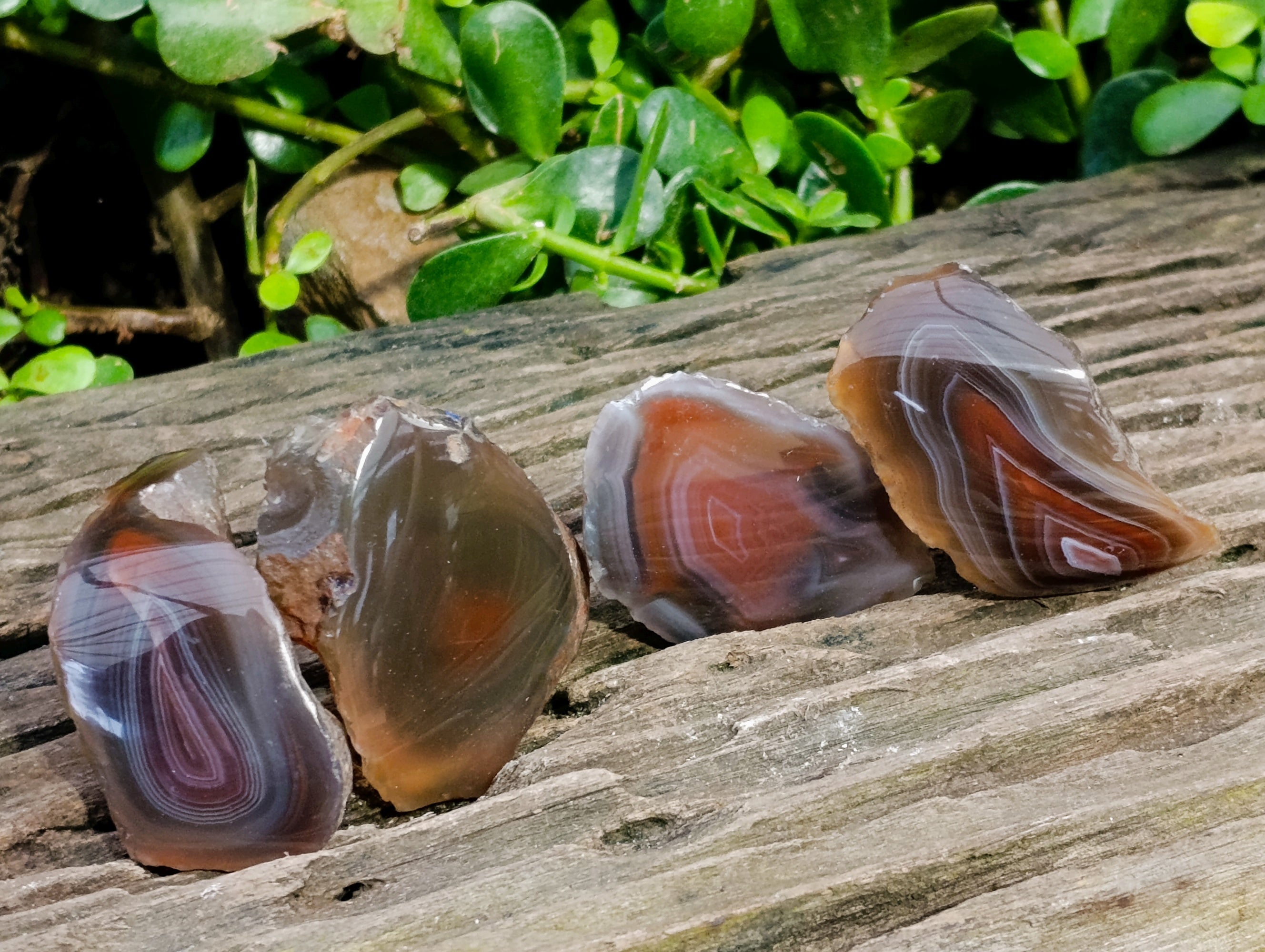 Polished On One Side Red Sashe River Agate Nodules x 24 From Zimbabwe - Toprock Gemstones and Minerals 