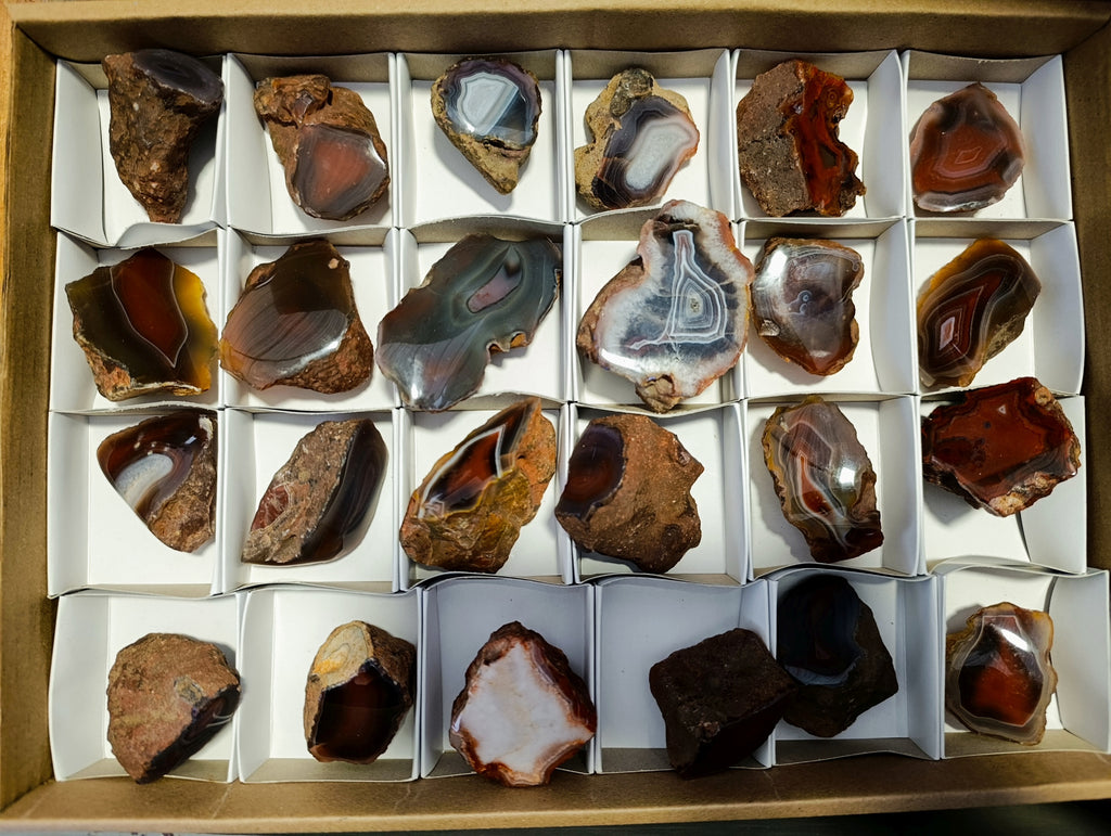 Polished On One Side Red Sashe River Agate Nodules x 24 From Zimbabwe - Toprock Gemstones and Minerals 