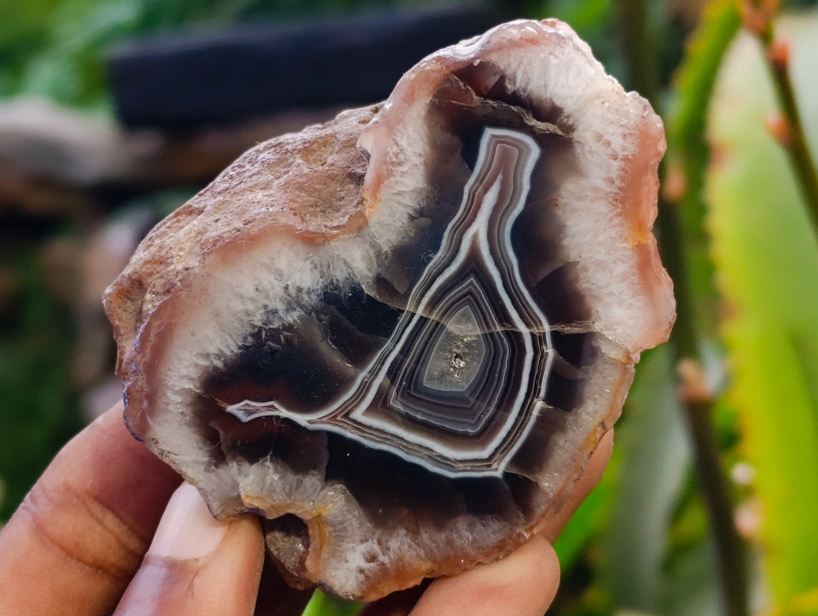 Polished On One Side Red Sashe River Agate Nodules x 24 From Zimbabwe - Toprock Gemstones and Minerals 