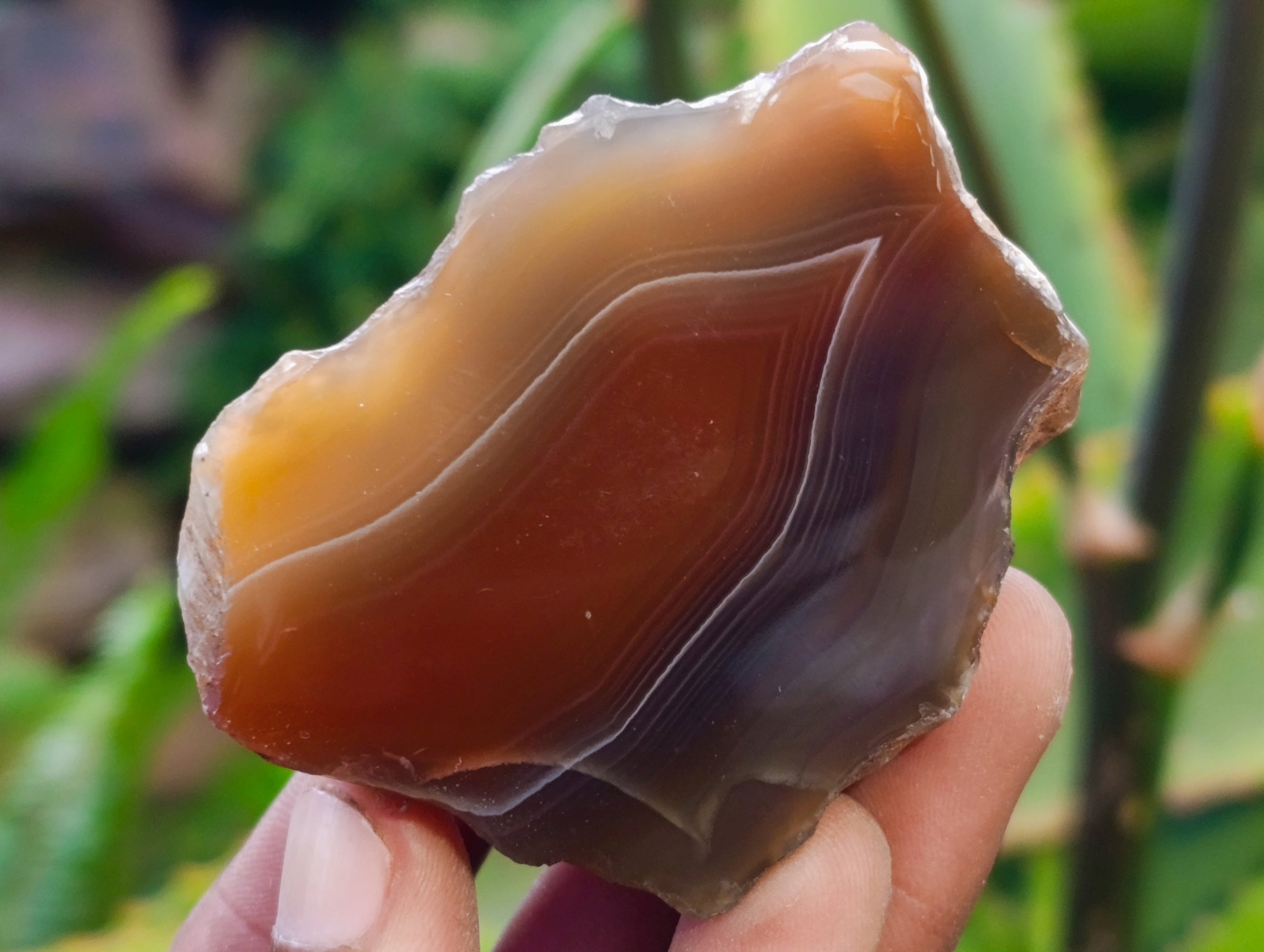 Polished On One Side Red Sashe River Agate Nodules x 24 From Zimbabwe - Toprock Gemstones and Minerals 