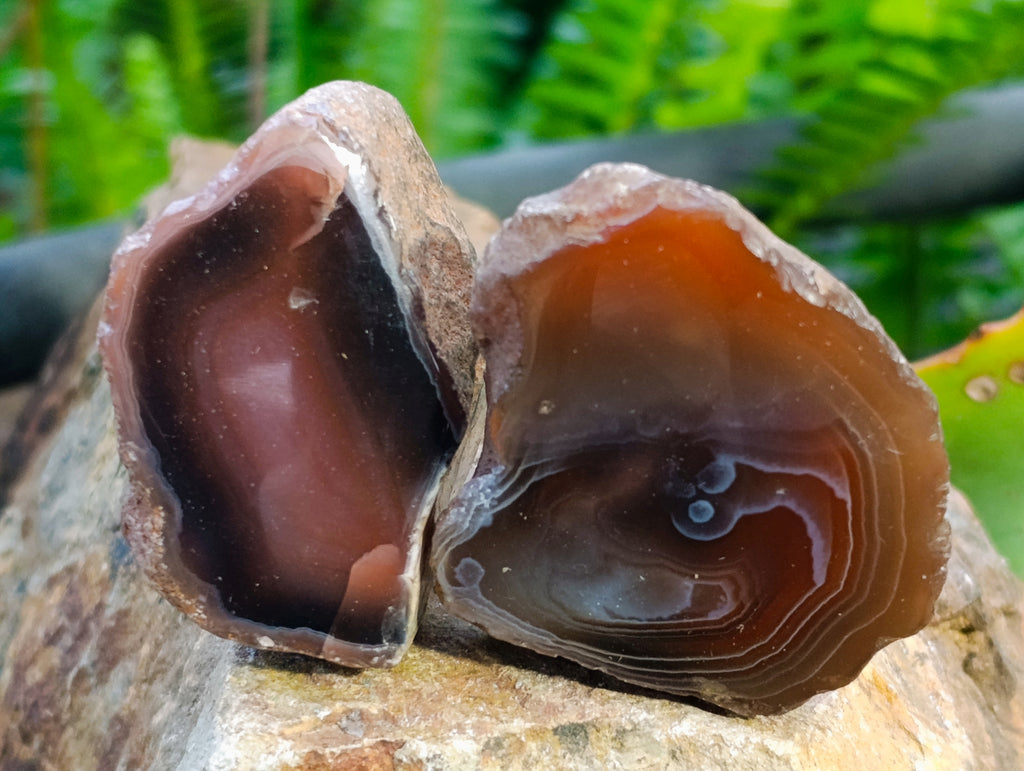 Polished On One Side Red Sashe River Agate Nodules x 24 From Zimbabwe - Toprock Gemstones and Minerals 