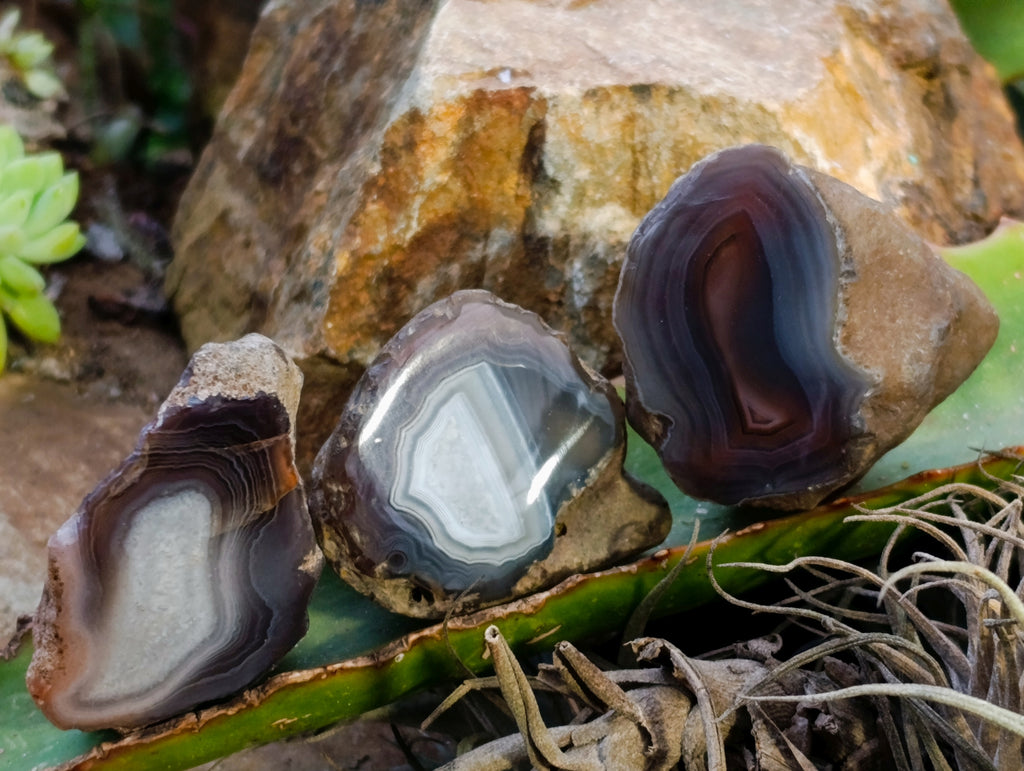 Polished On One Side Red Sashe River Agate Nodules x 24 From Zimbabwe - Toprock Gemstones and Minerals 