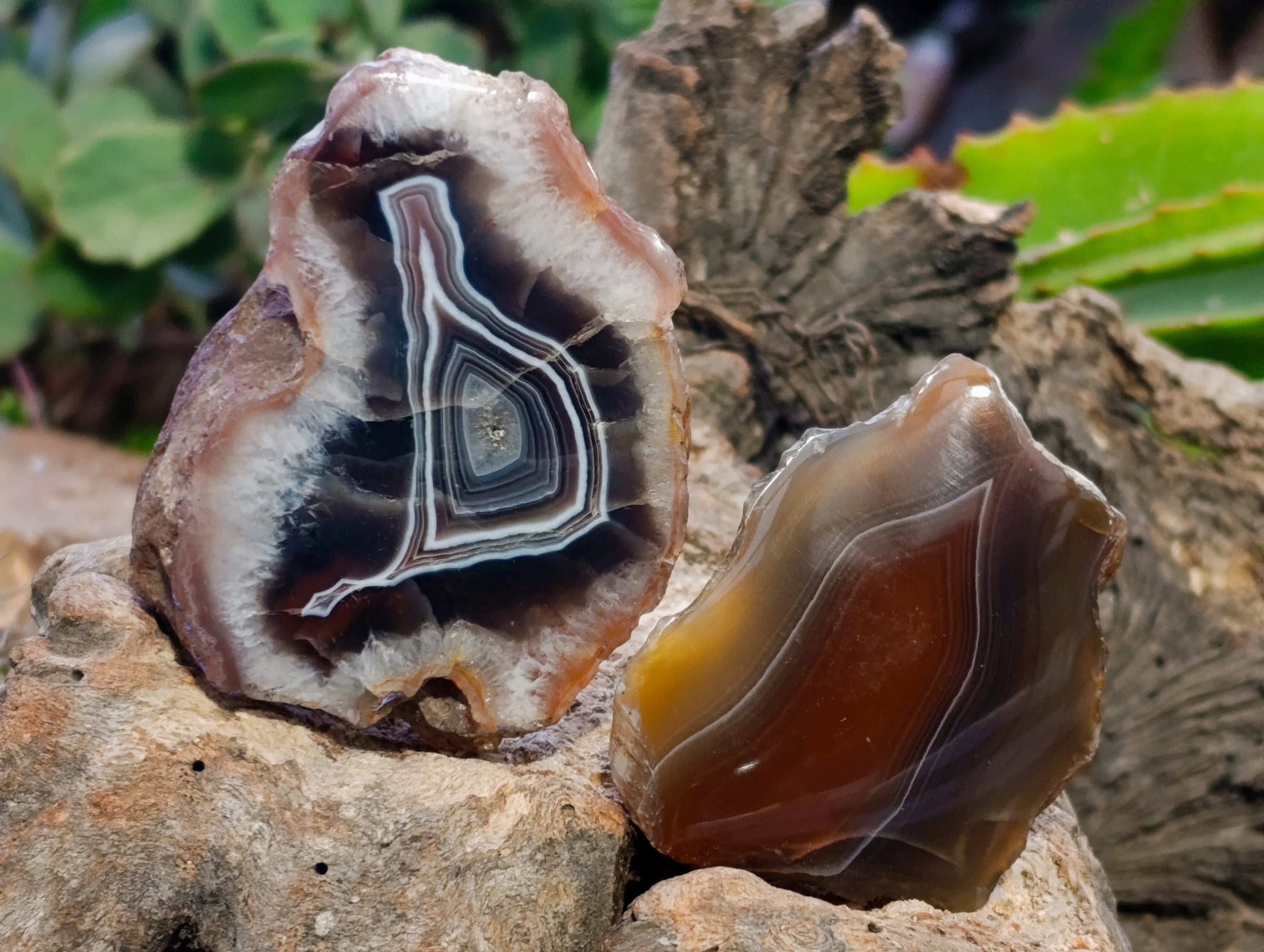 Polished On One Side Red Sashe River Agate Nodules x 24 From Zimbabwe - Toprock Gemstones and Minerals 